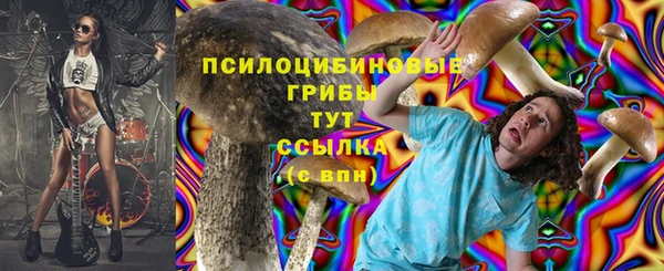Альфа ПВП Богородицк
