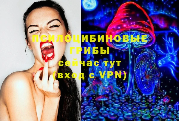Альфа ПВП Богородицк
