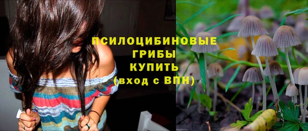 мескалин Богданович