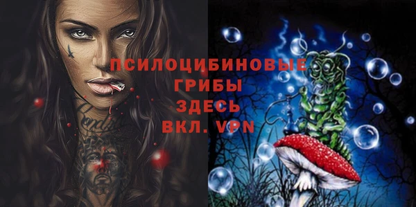 мескалин Богданович