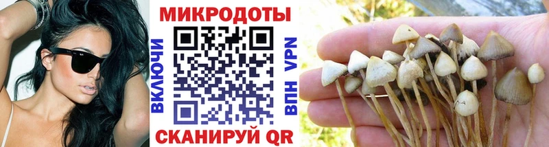 Галлюциногенные грибы мухоморы  Купить закладки  Кимовск 