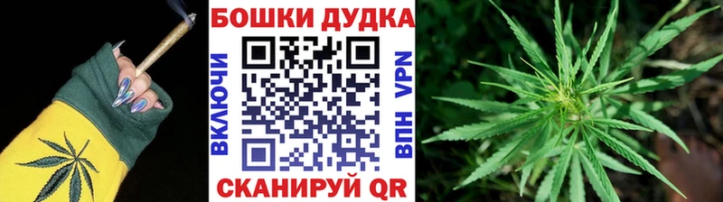 Купить Кимовск Марихуана Amnesia